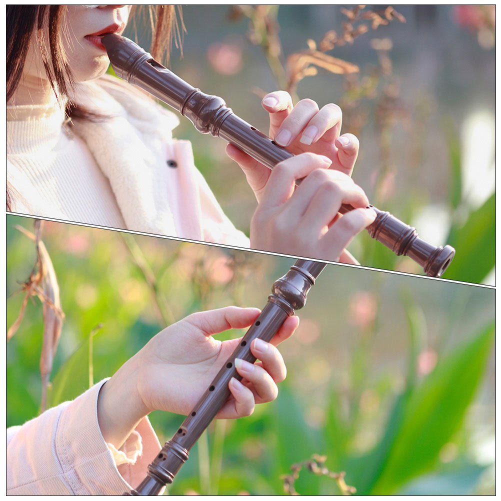 Профессиональная пластиковая б – обзор и цена Soprano Recorder Plastic